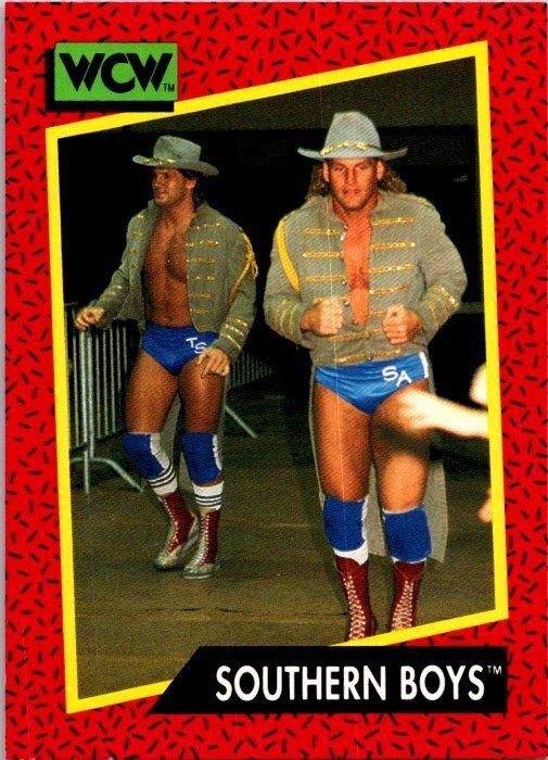 1991 WCW Wrestling Card Southern Boys Steve Armstrong Tracy Smothers sk21225