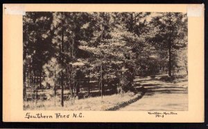 North Carolina Southern Pines Divided Back