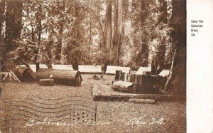 Camp Fire, Bohemian Grove, CA Monte Rio 1910 Polychrome Vintage Postcard