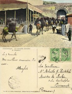turkey, CONSTANTINOPLE, Les Murailles terrestres de Stamboul (1910s) Postcard