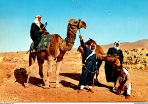 Israel Chameliers Camel Drivers