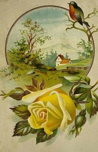 c.1880s Victorian Trade Card Lovely Yellow Rose Robin Mountain Cottage