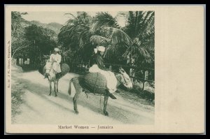 Jamaica Vintage Postcard Market Women on Baskets atop of Donkeys FRESH