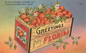 Vintage Postcard 1951 The Box Of Oranges I Promised You From The Sunshine State