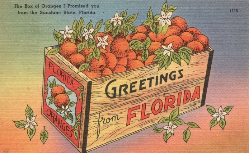 Vintage Postcard 1951 The Box Of Oranges I Promised You From The Sunshine State