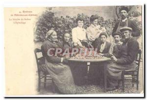 Loiret Old Postcard Surroundings of Pithiviers in Gatinais saffron harvest TH...