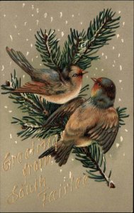 South Fairlee Vermont VT Song Birds on Branch Embossed c1910 Vintage Postcard