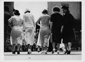 Park Avenue Bums New York Ladies Parade American Photo Art Postcard