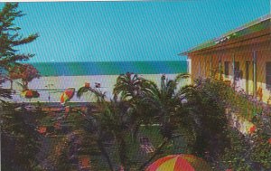 Arvilla Motel Saint Petersburg Florida