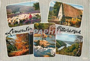 Postcard Modern Limousin landscapes Fishing Shepherd Sheep