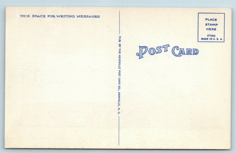 Postcard VA Abingdon Virginia Confederate Monument AD11