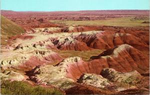 postcard Arizona's Painted Desert  - Curt Teich 1963