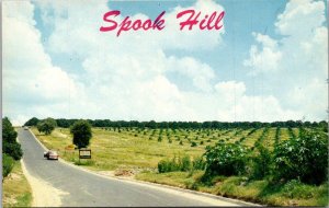 Florida Lake Wales Spook Hill