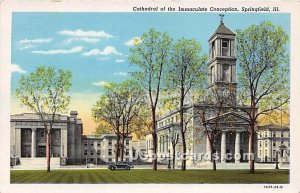 Cathedral of Immaculate Conception - Springfield, Illinois IL