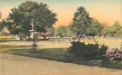 HAND COLORED NEW ORLEANS, LA In the Park #1800-23 postcard 