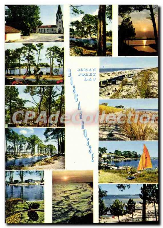 Postcard Modern Biscarrosse Ocean Lake Forest