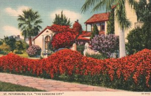 Vintage Postcard Beautiful Homes Amidst Tropical Scenery St. Petersburg Florida