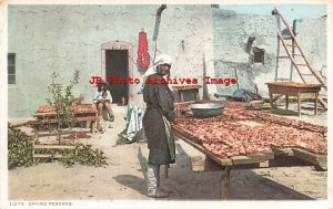 Native American Pueblo Indians Drying Peaches, Detroit Pub No 11279