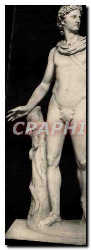 Roma Di Apollo Belvedere Museo Vaticano - Sculpture- Old Postcard