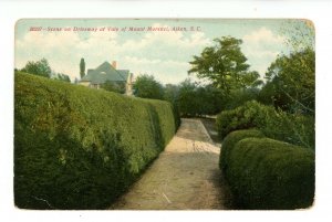 SC - Aiken. Vale of Mount Morenci, Driveway Scene