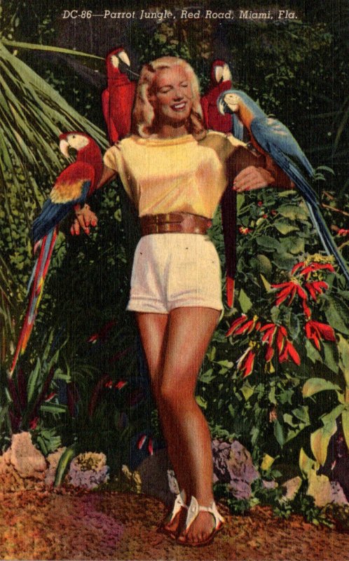 Florida Miami Parrot Jungle Beautiful Girl With Colorful Macaws