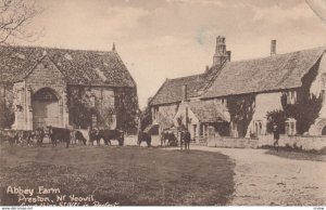 TUCK: Near YEOVIL, Somerset, England, United Kingdom; Abbey Farm, 00-10s