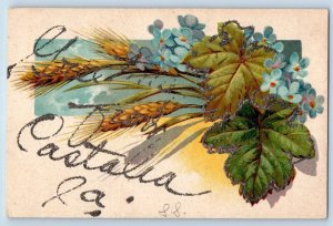 Castalia Iowa IA Postcard Greetings Flower Glitter Leaves c1910 Vintage Antique