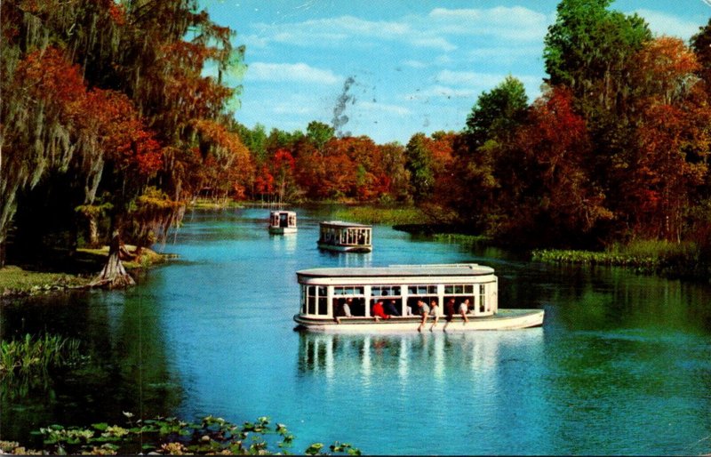 Florida Silver Springs Glass Bottom Boats On The Silver River 1958