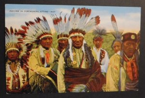 Mint Postcard USA Oklahoma Indians Native Americans Indians in Ceremonial Attire