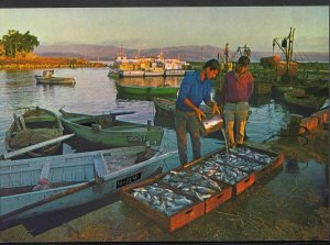 Israel Postcard - Fishermen's Wharf, Tiberias   DP43