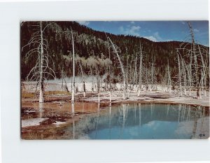 Postcard One Of Many Hot Pools, Old Faithful, Yellowstone National Park, Wyoming