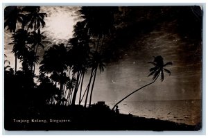 Singapore Postcard Tanjong Katong View of Trees and Bay c1920's RPPC Photo