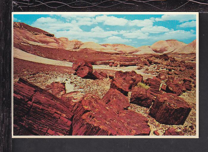 Petrified Forest,AZ Postcard BIN 