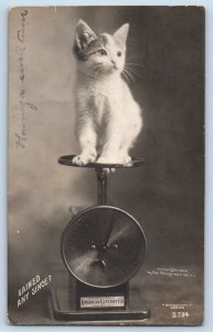 Chicago Illinois IL Postcard RPPC Photo American Cutlery Scale Cat Kitten c1905