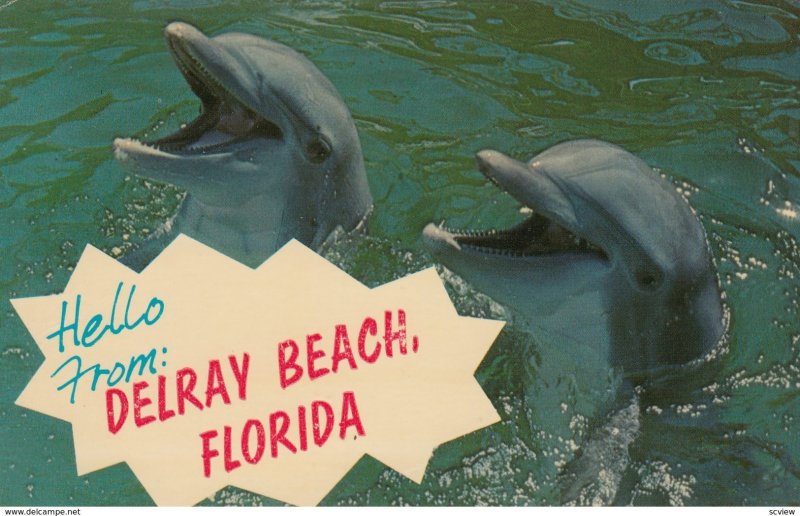 Dolphins , DELRAY BEACH , Florida , 50-60s