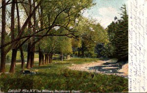 New York Catskills Murderers Creek The Willows 1906