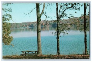 c1960 Scenic View Claytor Lake Bench Trees Virginia VA Vintage Unposted Postcard