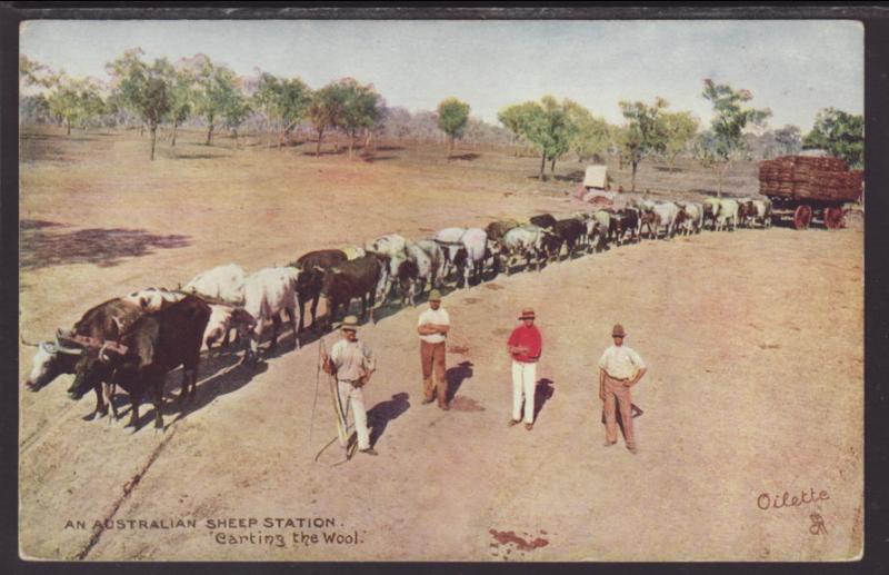 An Australian Sheep Station,Carting the Wool Postcard