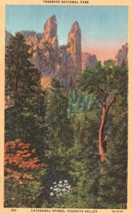 Vintage Postcard Yosemite National Park Cathedral Spires Yosemite Valley Western