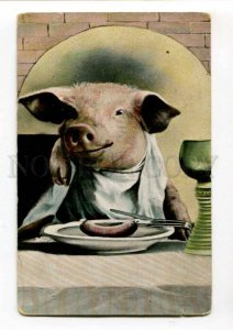 288484 Dressed PIG in Restaurant w/ sausage Vintage postcard