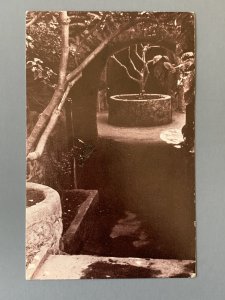 Forestiere Underground Gardens Fresno CA Chrome Postcard A1154090203