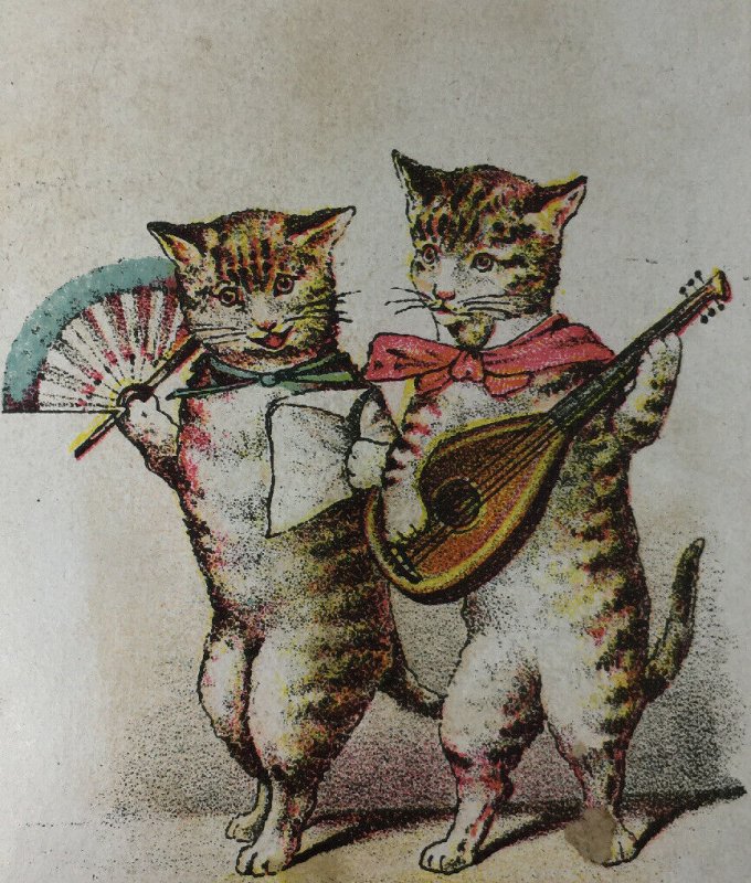 BEGGS Family Medicine Victorian Trade Card Anthropomorphic Cats Lute Guitar