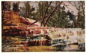Yellowstone Park Wyoming Angel Terrace Mammoth Hot Springs Vintage Postcard