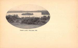 Poland Maine Tripp Lake Birdseye View Antique Postcard K84288