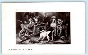 A FRONTAL ATTACK Embossed DOGS & CATS 1909 Jesse Boots UK Postcard