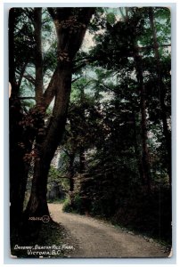 Victoria BC Canada Postcard Driveway Beacon Hill Park 1913 Antique Posted