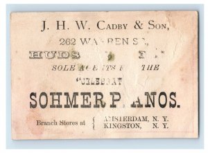 1880s J.H.W. Cadby & Son Sohmer Pianos Colorful Wild Bird F145