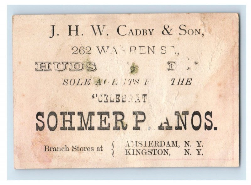 1880s J.H.W. Cadby & Son Sohmer Pianos Colorful Wild Bird F145
