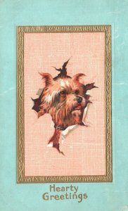 Vintage Postcard 1911 Hearty Greetings Card Cute Brown Litte Dog Pet Puppy Frame
