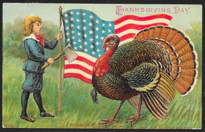 Thanksgiving Day Patriotic Turkey Boy & American Flag I Wonder Why...Used c1910s